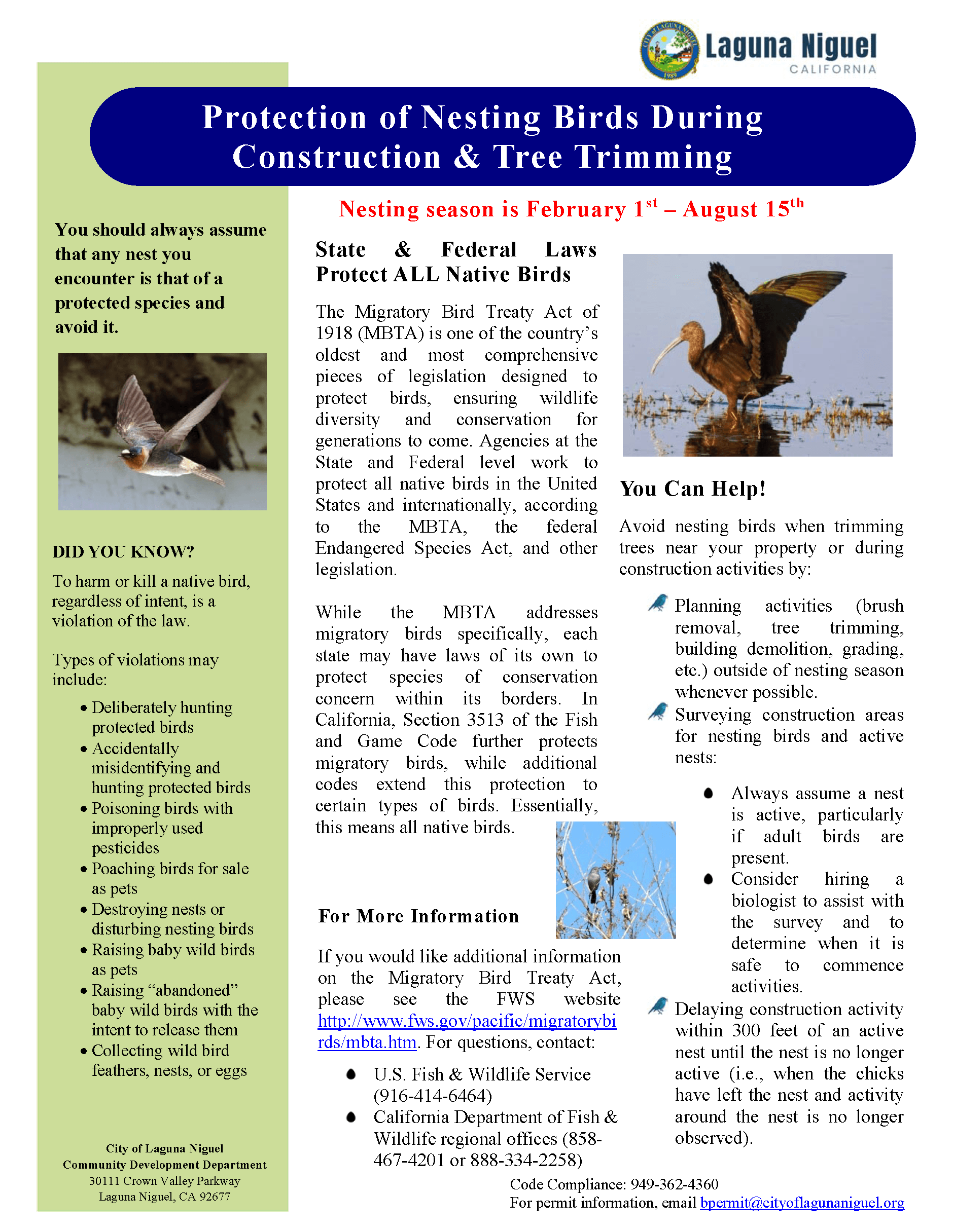 Nesting Bird Season Flyer - FINAL 022620
