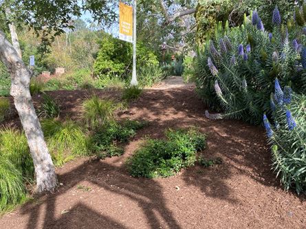 Mulch-at-CVCC-park-2