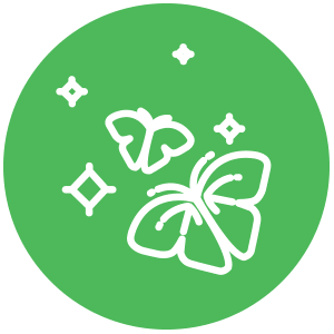 LN Demo Garden Opens in new window