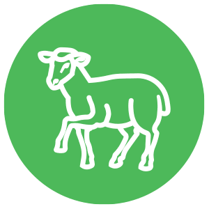 Weed-Abatement Program Opens in new window