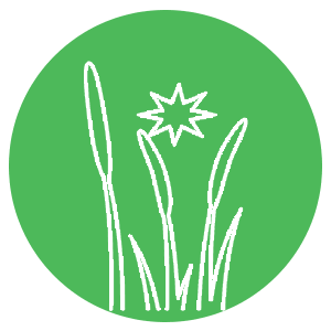 Wetlands Opens in new window