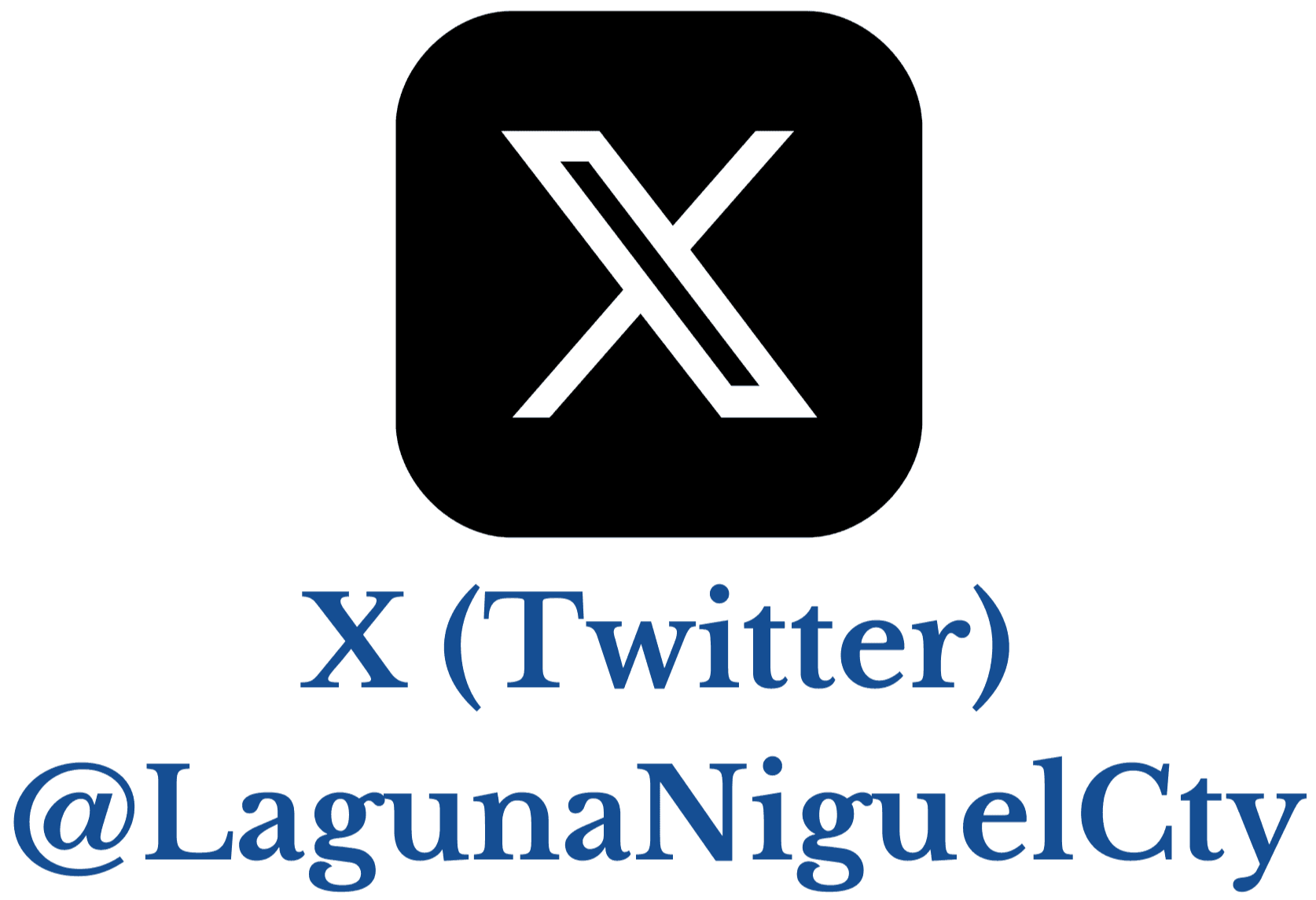 Twitter Icon - Website Button Opens in new window